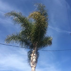 Meet your Posher, Luci